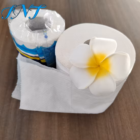 Туалетная бумага Coreless Roll Paper китайского производителя